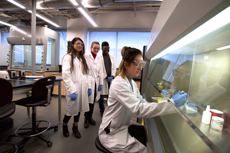 The Human Biology program’s CRISPR lab course being conducted in Ramsay Wright Laboratories.