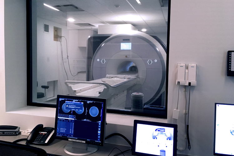 A view of the MRI machine in the Centre for Biological Timing and Cognition.