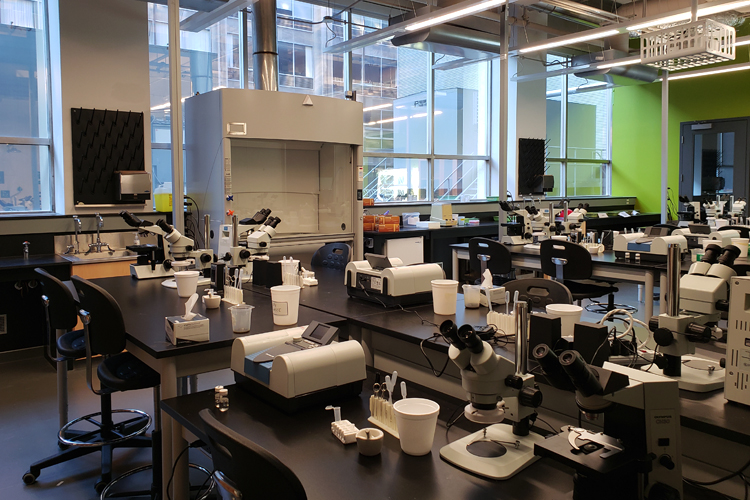 A teaching lab in Ramsay Wright Laboratories filled with many desks with lab equipment on them, such as microscopes.