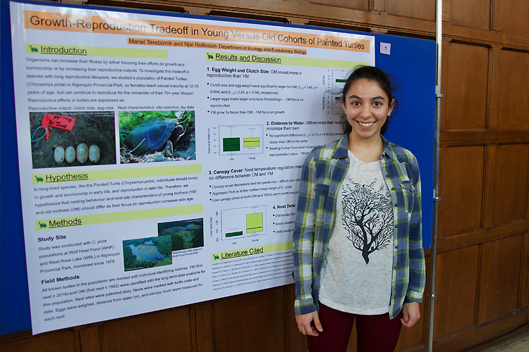 Ecology & Evolutionary Biology student Mariel Terebiznik spent three months doing field work observing snapping turtles and salamanders in Algonquin Park through the Research Experience Program.