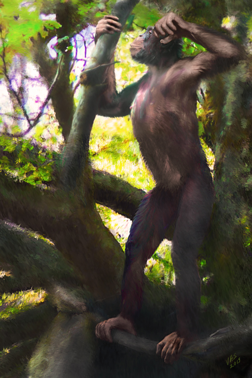 A realistic painting Danuvius guggrnmosi (ape) standing in a lush green tree scratching its head.