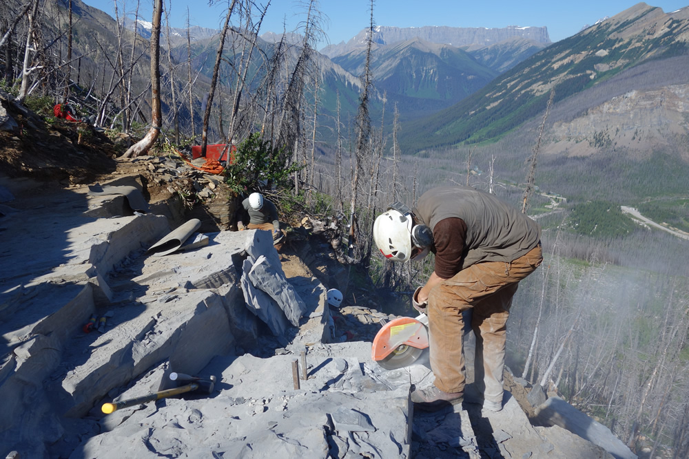 two men chipping at the rocks in the canyon