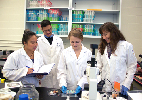 Chelsea Rochman and her team working in a lab wearing lab coats