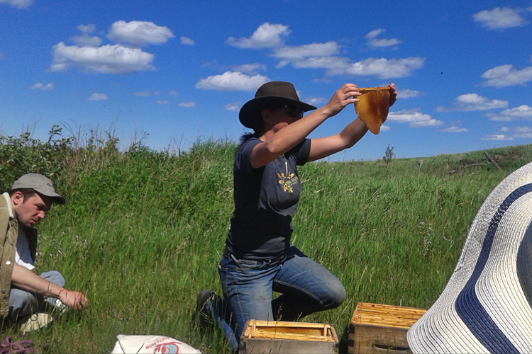 Beekeeper Sabrina Malach holds a piece of honeycomb in the air