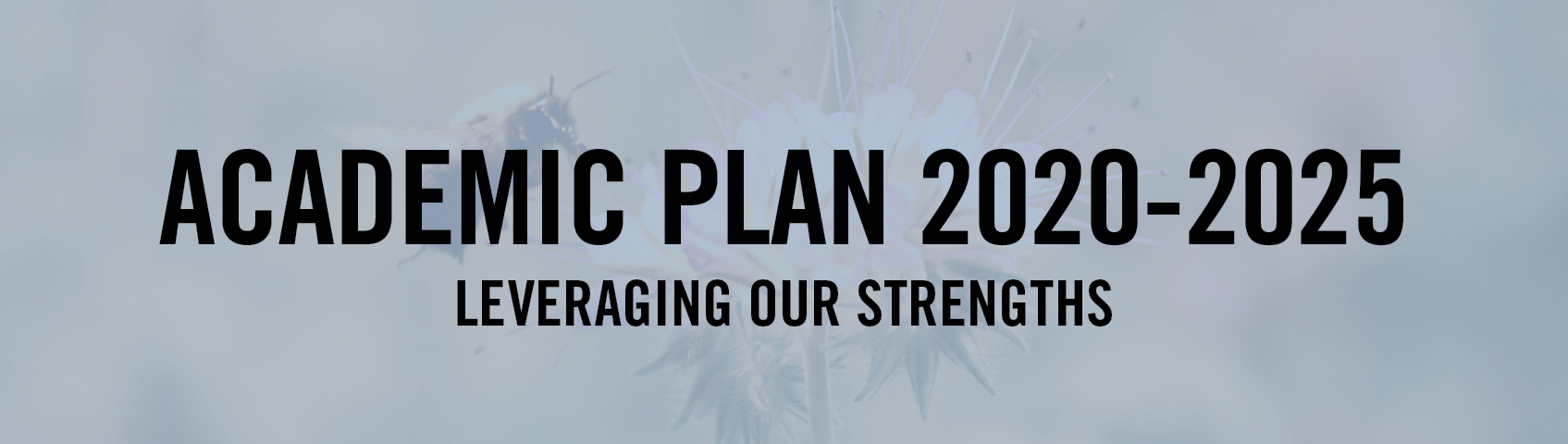 Academic Plan 2025 - Leveraging Our Strengths