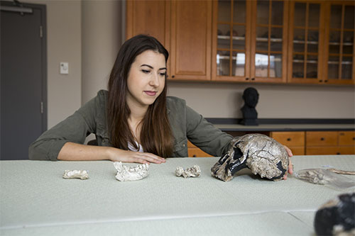 Klara Komza with hominid skulls