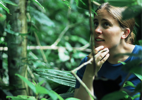 Associate Professor Megan Frederickson observes ants in the Peruvian Amazon