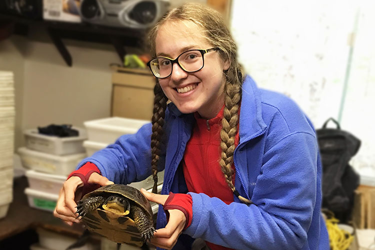 Hayley Vlcek holds a Blanding's turtle in the lab