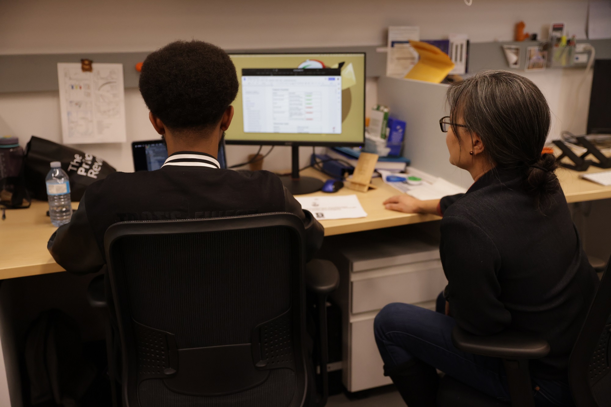 Student working with a supervisor. Both looking at a computer screen.