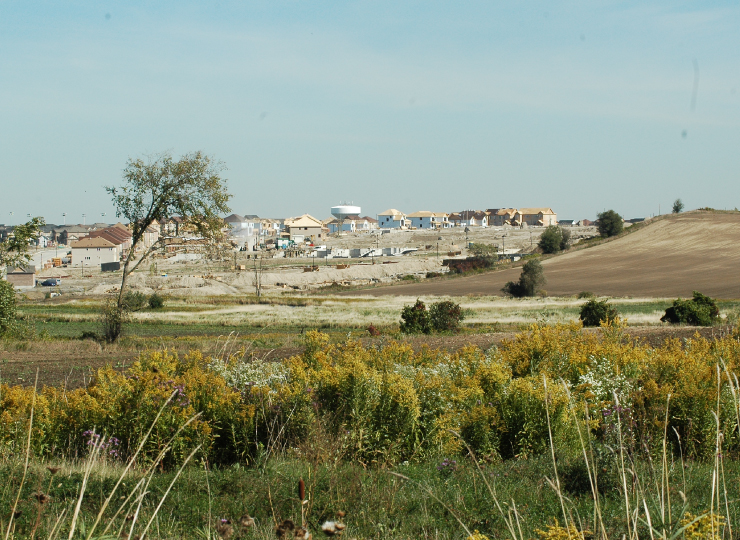 A field in the Koffler Scientific Reserve, with a subdivision visible in the background