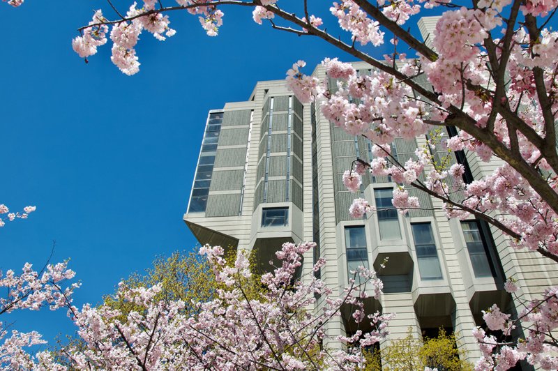 Robarts Library in Spring