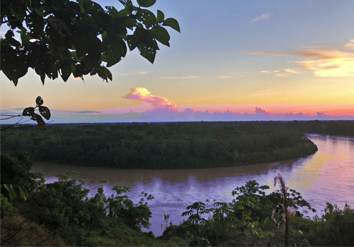 View of the Madre de Dios River in Peru.