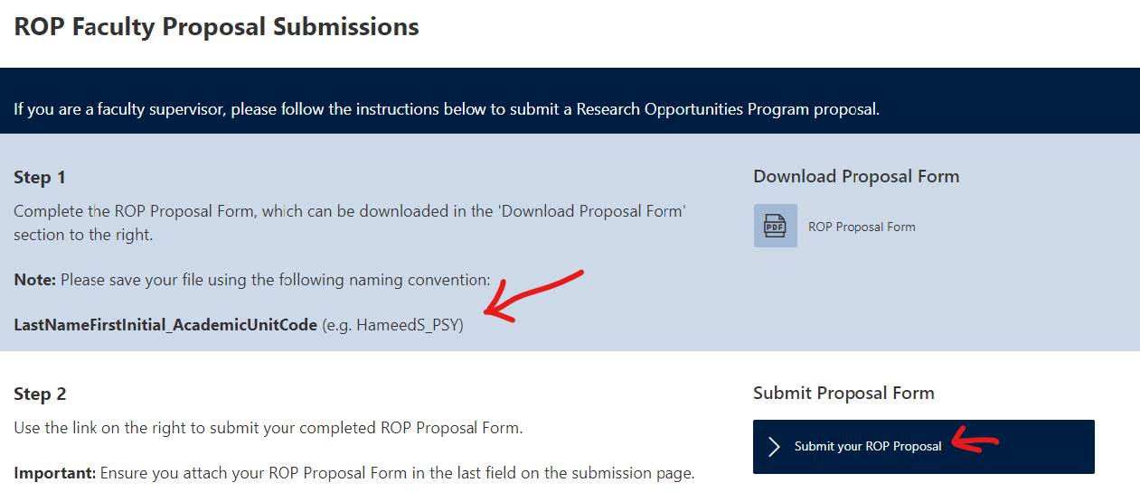 A screenshot of the portal includes suggested naming conventions (e.g., LastNameFirstInitial_AcademicUnitCode) and points to the submit button