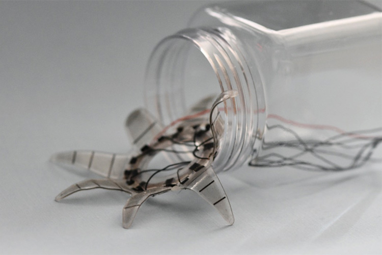 A soft robot - shaped like a starfish - coming out of a glass jar