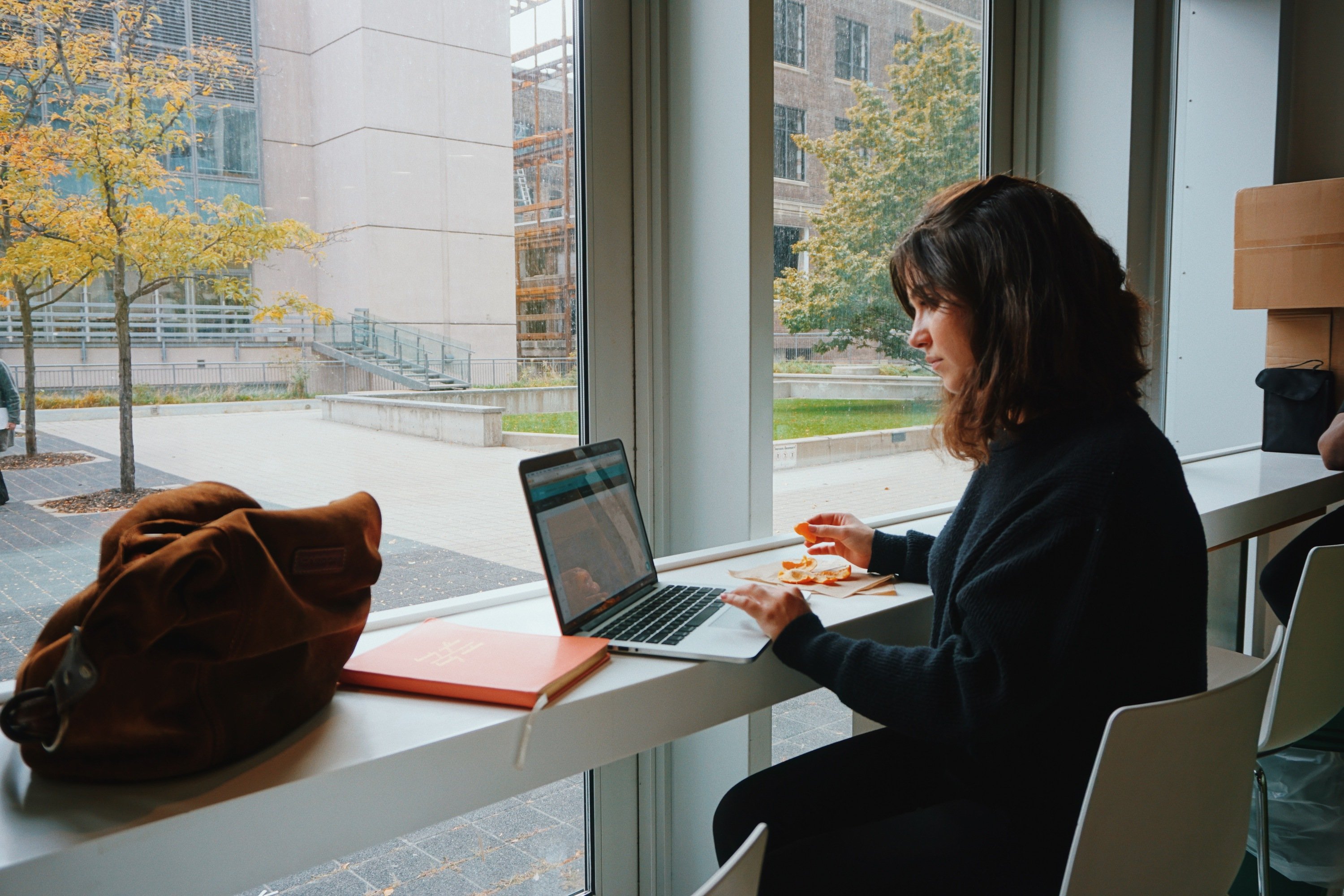 Female student sitting next to a window working on her laptop