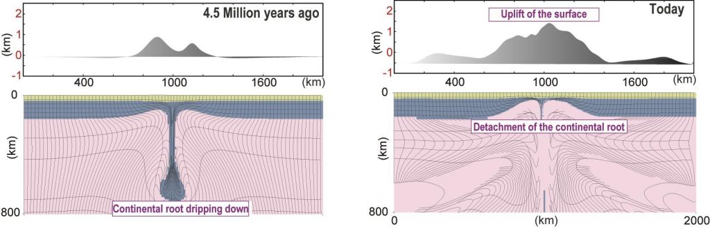 Chart depicting time slices of the computational geodynamic model showing dripping continental root and eventual surface uplift over a 4.5 million year period. 