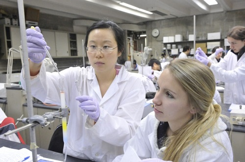 Students performing experiments in a biochemistry lab at the University of Toronto Scarborough.