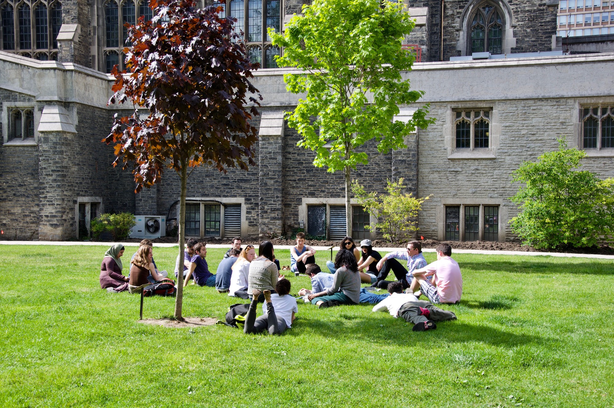 Group of students sitting on the grass outdoors at Victoria College