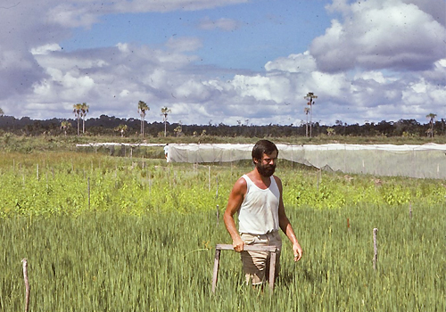 Spencer Barrett standing in tall grass.