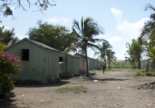 Street of bateyes and palm trees