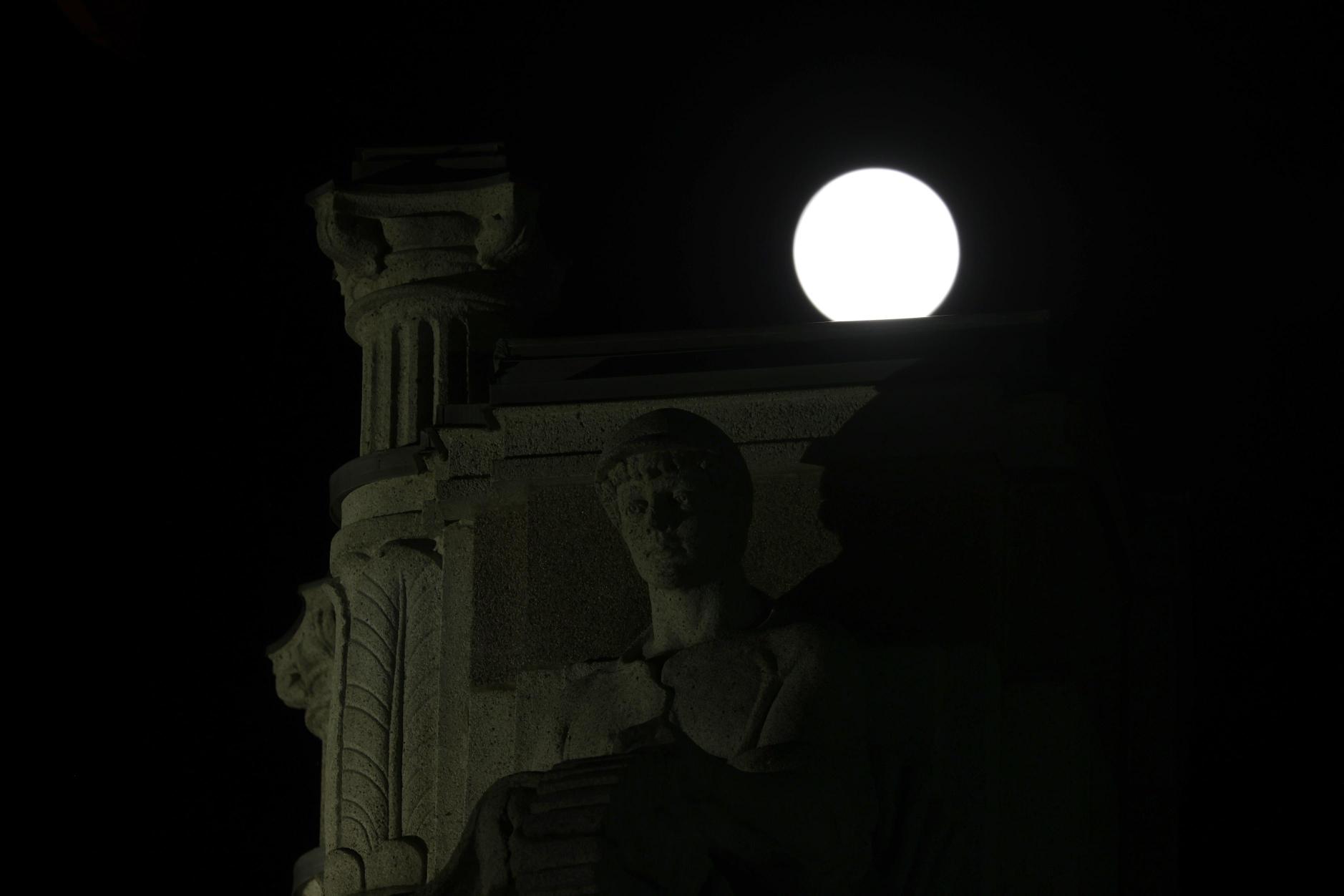 statue in moonligt