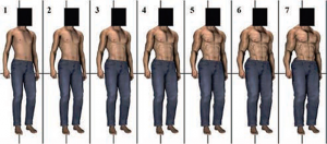 Row of male bodies with different muscularity