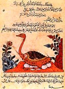 Page from the Book of Animals with Arabic script and an illustration of a bird sitting on a nest of eggs.