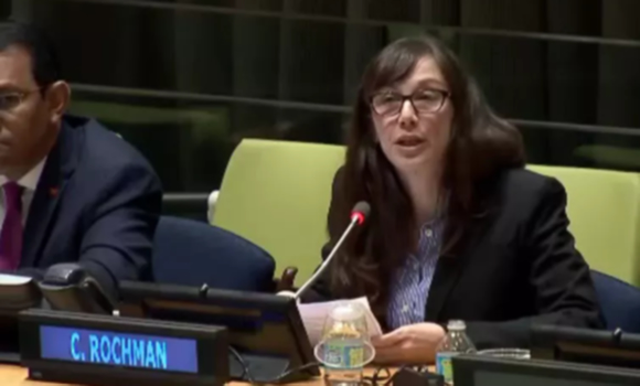 Author Chelsea Rochman presents her research at the United Nations.