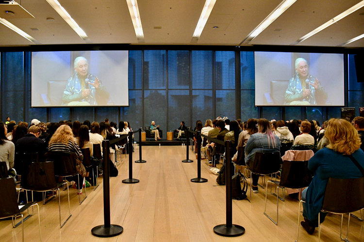 A large audience at U of T’s Desautels Hall and two screens showing Jane Goodall speak.