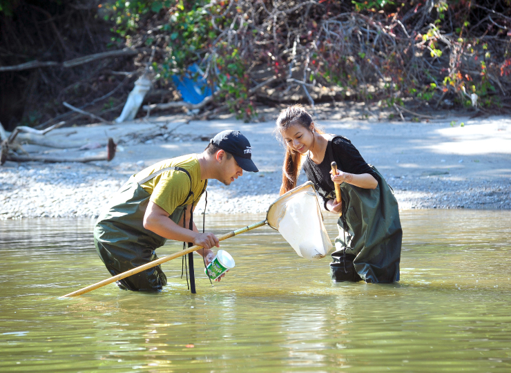 Two people with nets in a stream conducting research.