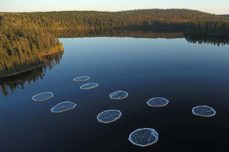 aerial view of a lake with nets in it