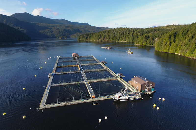 salmon farm - a big rectangular net in the water with a boat at one end