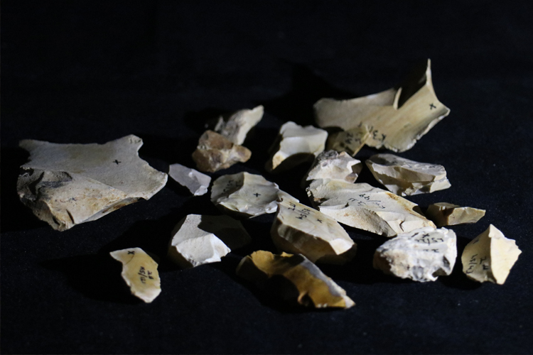 Several flint rocks on a black background