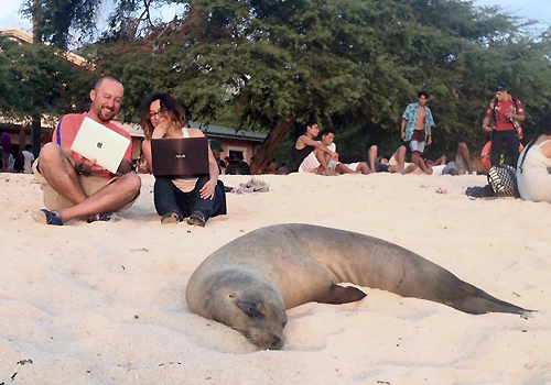 Two people sit behind a seal basking in the sun.