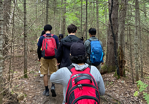 Several people on a hike in the forest