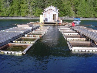Dock and cabin on water