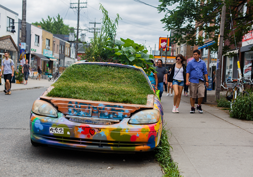 Car with garden growing out of it
