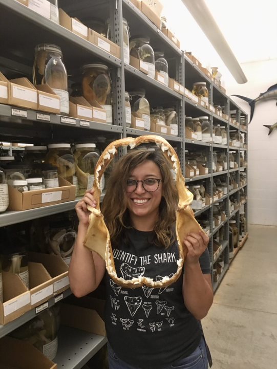 Vianey Leos Barajas holding a tiger shark jaw at the North Carolina Museum of Natural Sciences Research Laboratory 
