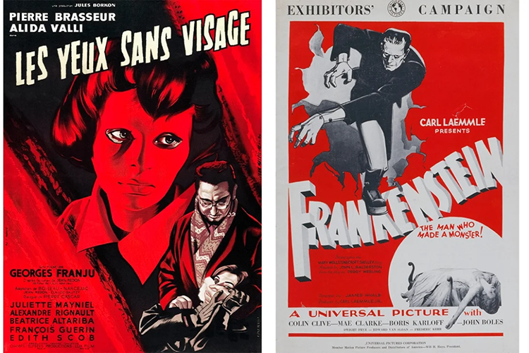 two old movie posters - Les Yeux Sans Visage (Eyes Without A Face) and  James Whale's 1931 horror film Frankenstein starring Boris Karloff and Mae Clarke.