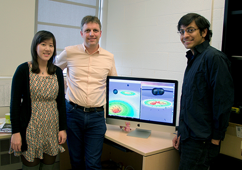 Heather Fong, Harald Pfeiffer and Prayush Kumar.