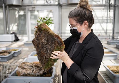 A woman in a mask holding a bundle of soil indoors in a lab-setting