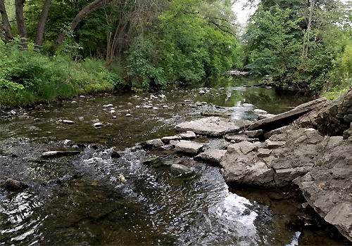 Mimico Creek.