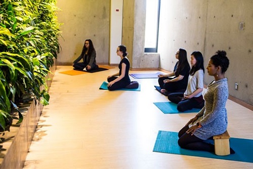 Students kneeling on yoga mats facing a wall of greenery. 