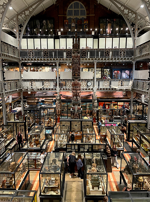 A large room with many artifacts in glass cases.