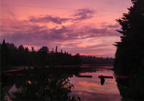 A beautiful pink sunset in the forest