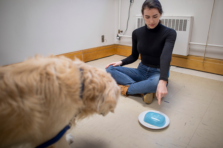 A student sits on the floor and points to a plate with a blue container on top; golden retriever Loki looks at the plate.