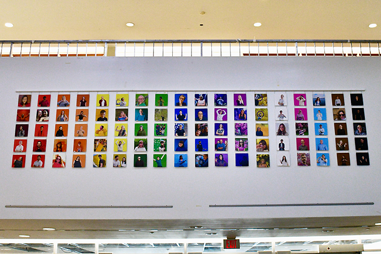 Colourful photographs.