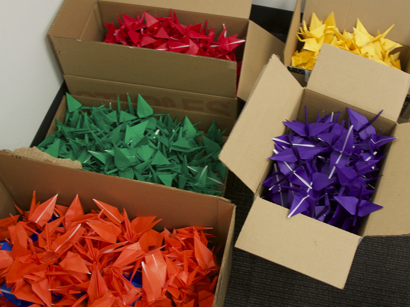 origami cranes sorted by colour in boxes.
