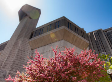 Robarts Library on a sunny day with pink apple blossom trees.