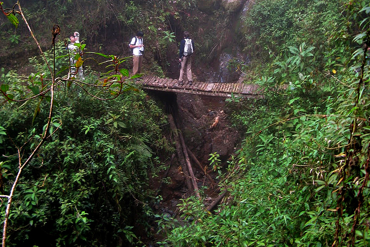 Students on a suspension bridge.